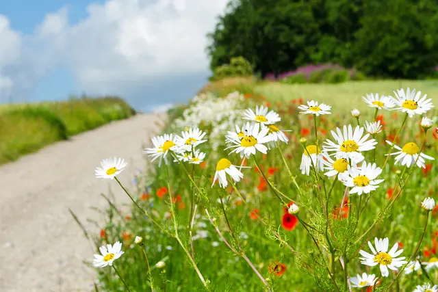 Andachtsbild von Unbekannt