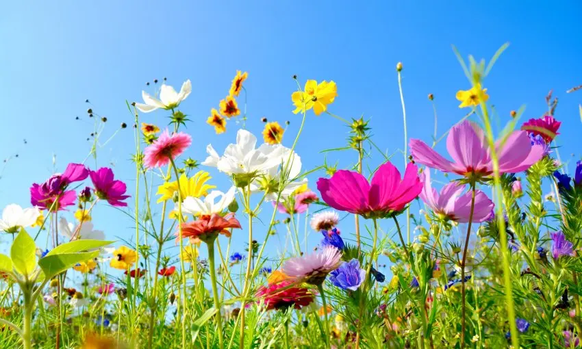 Andachtsbild von Unbekannt