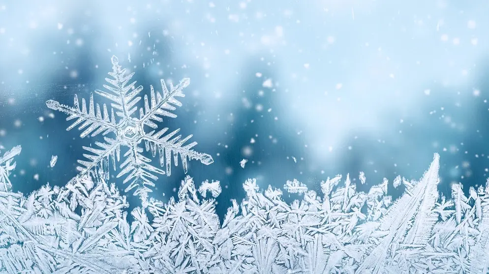 Andachtsbild von von Martha mit Wurzel tief im Herzen 