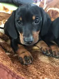 Andachtsbild von Olivia 3Monate teif im Herzen