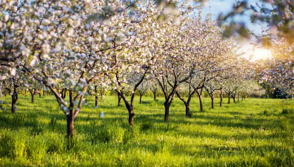 Andachtsbild von Tierheim Tiere 