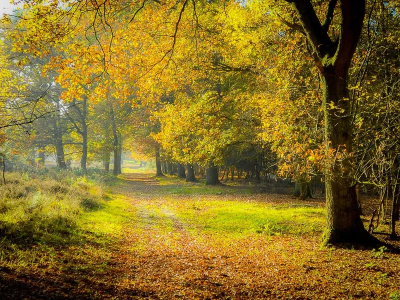 Andachtsbild von Unbekannt