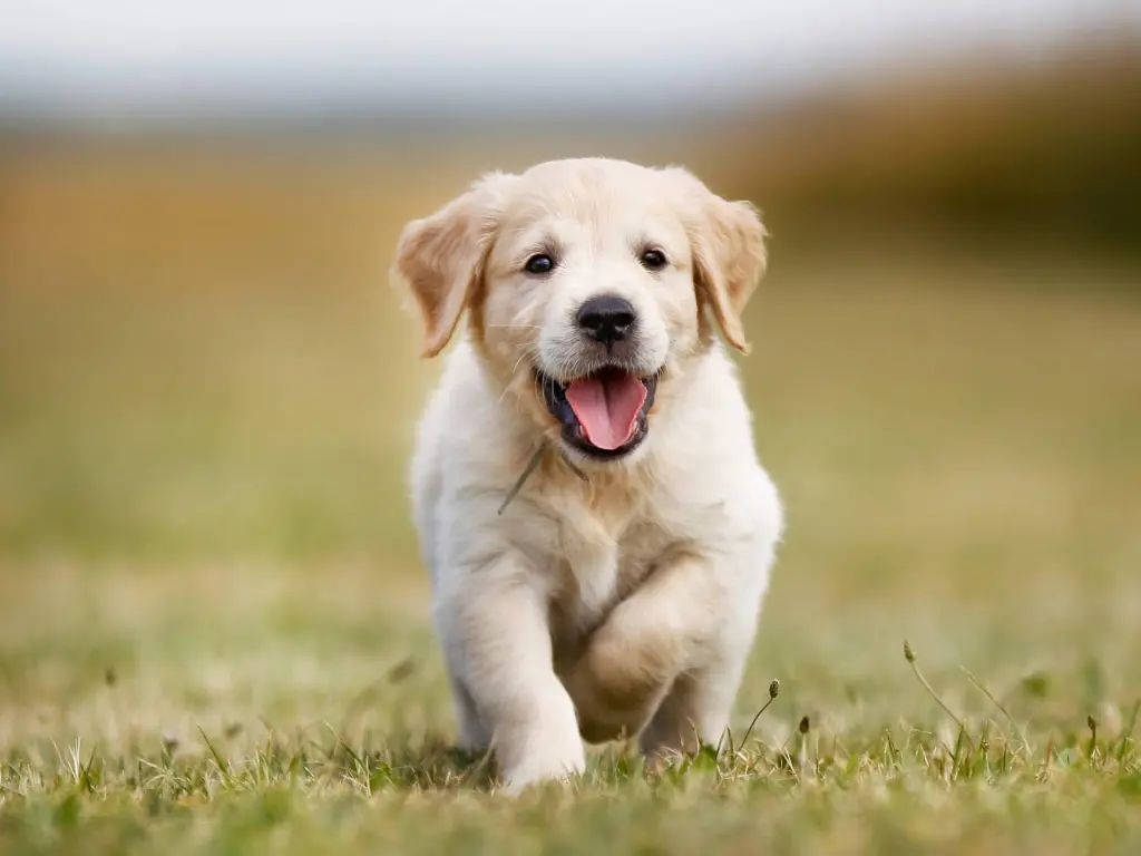 Andachtsbild von Tifi tief im Herzen 