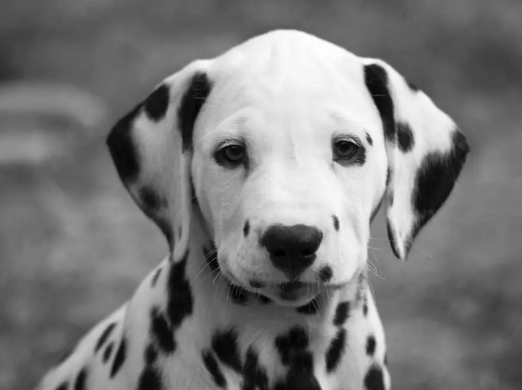 Andachtsbild von Conor tief im Herzen 