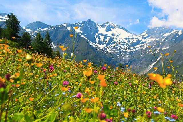 Andachtsbild von Unbekannt