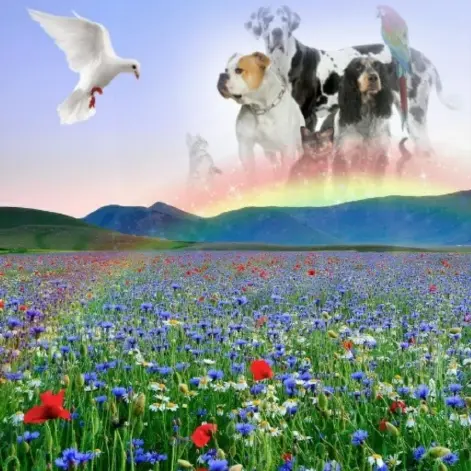 Andachtsbild von Unbekannt