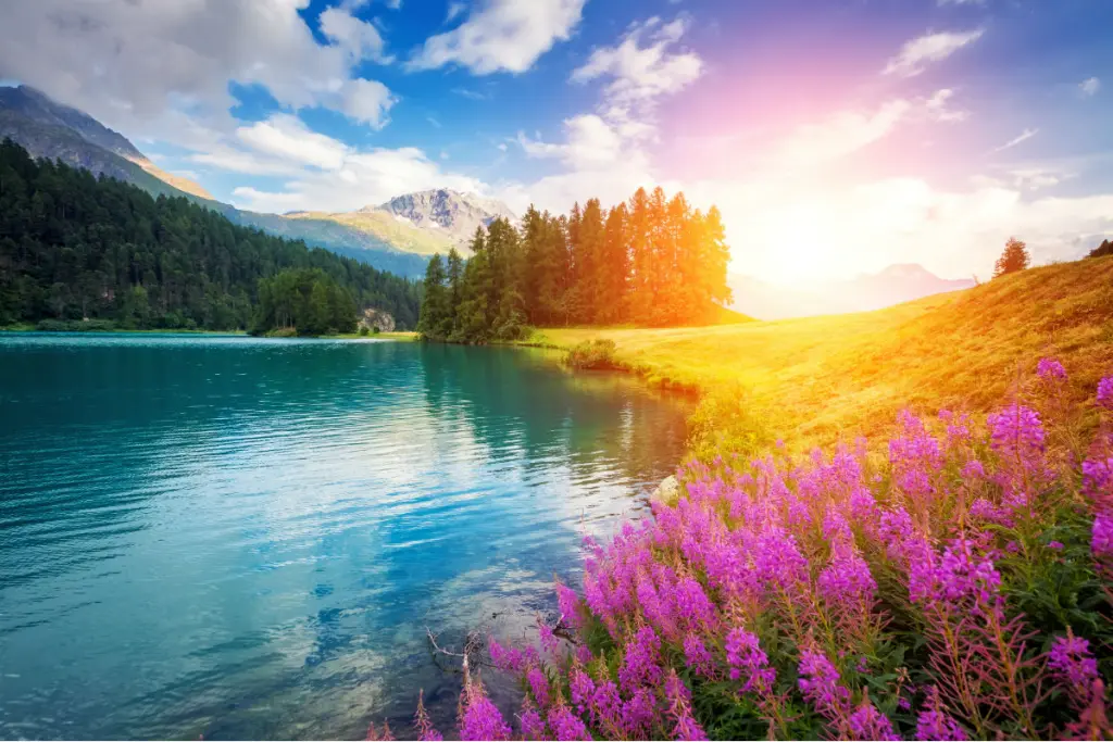 Andachtsbild von Unbekannt