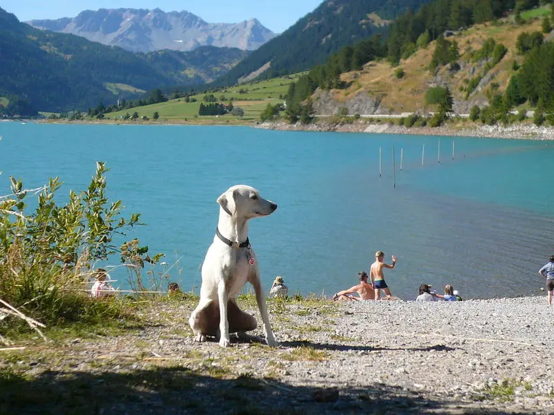 Andachtsbild von Unbekannt