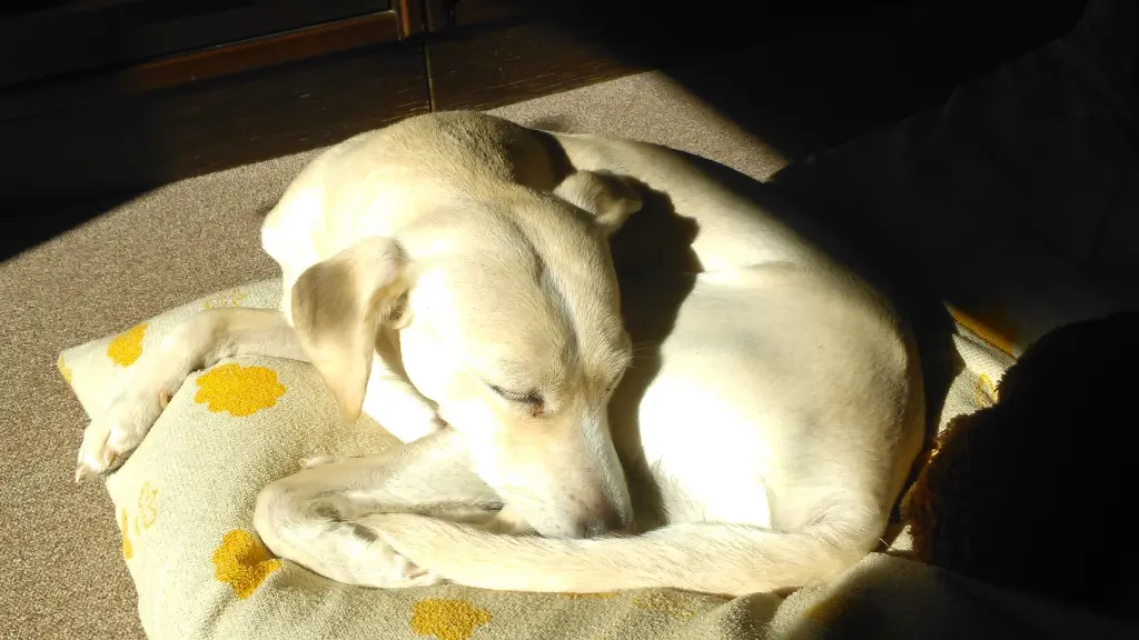 Andachtsbild von für unseren kleinen Sonnenschein