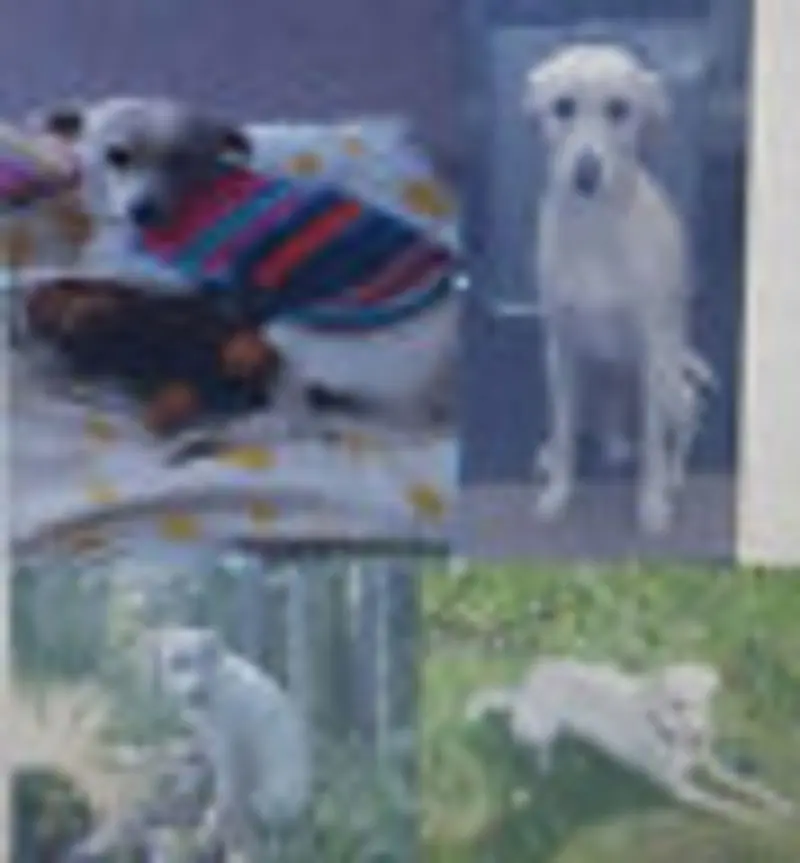 Andachtsbild von Du fehlst ......