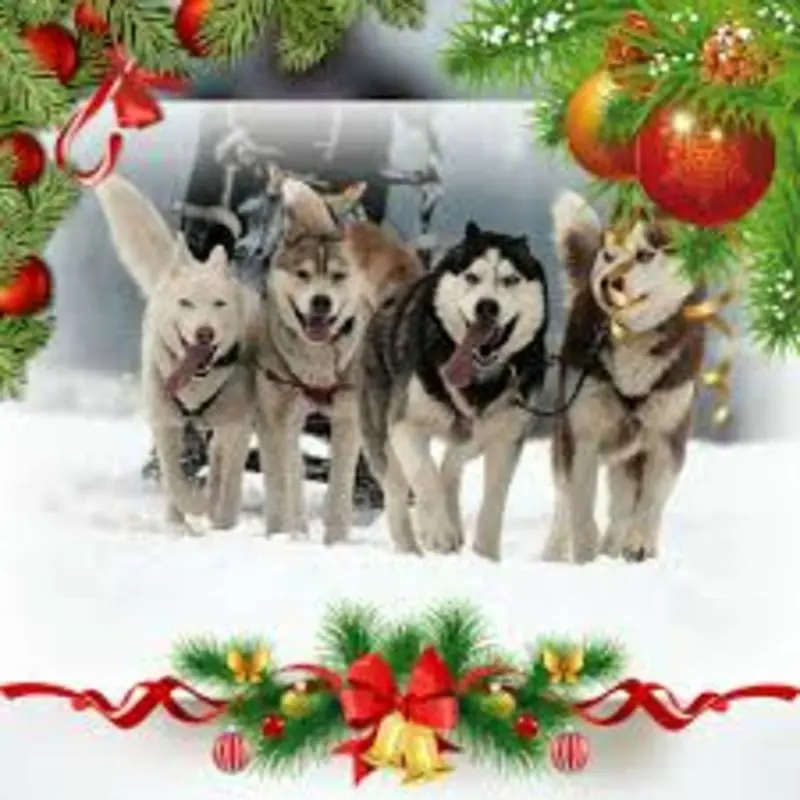 Andachtsbild von Frohe Weihnachten