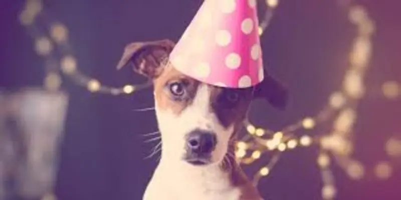 Andachtsbild von Unbekannt