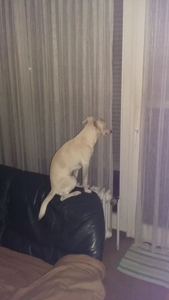 Andachtsbild von Unbekannt