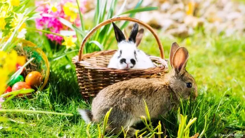 Andachtsbild von Osterhasen Grüße 