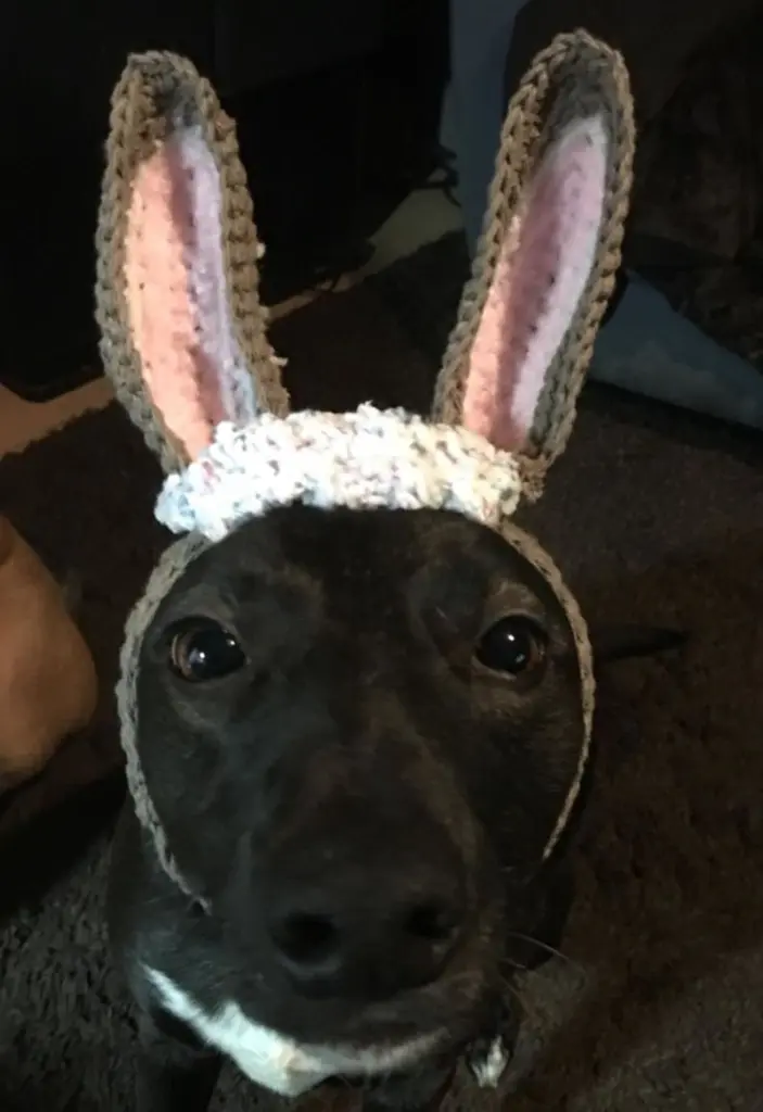 Andachtsbild von Ostergrüße von Sophia mit Elmo