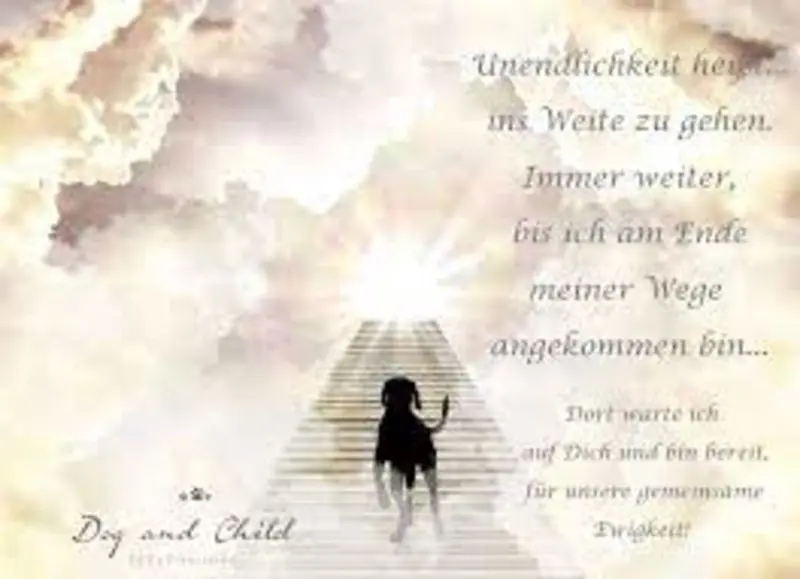 Andachtsbild von Marlies Balu und Luna