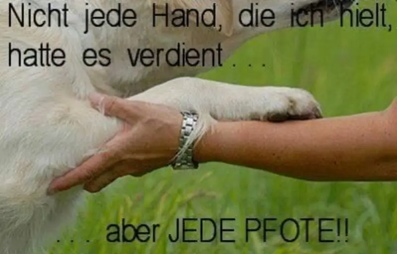 Andachtsbild von Unbekannt