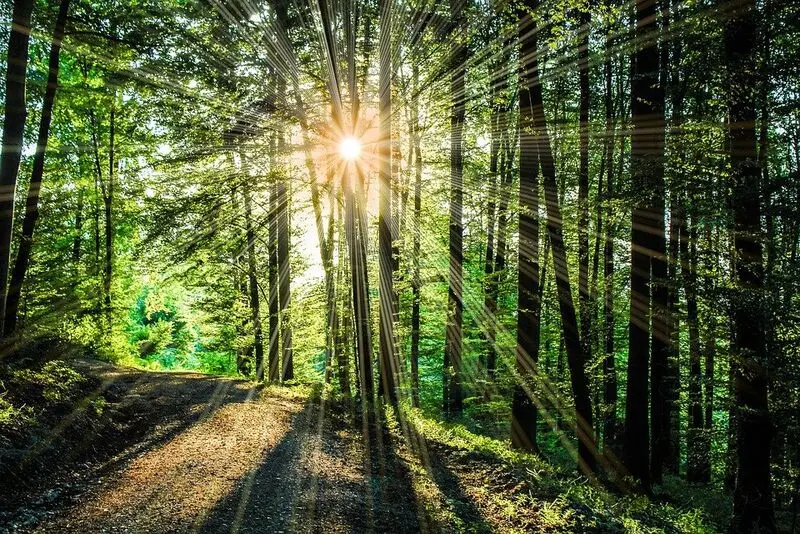 Andachtsbild von Unbekannt