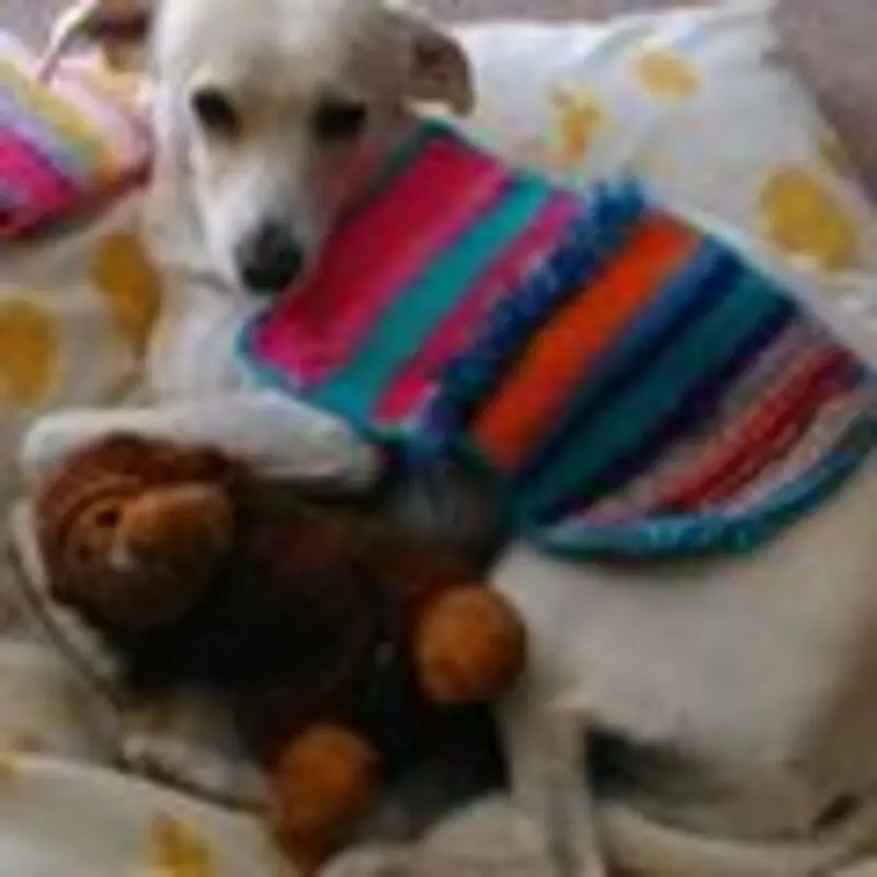 Andachtsbild von Unbekannt