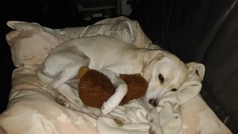 Andachtsbild von Unbekannt