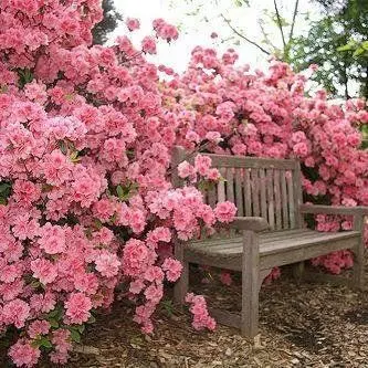 Andachtsbild von Unbekannt