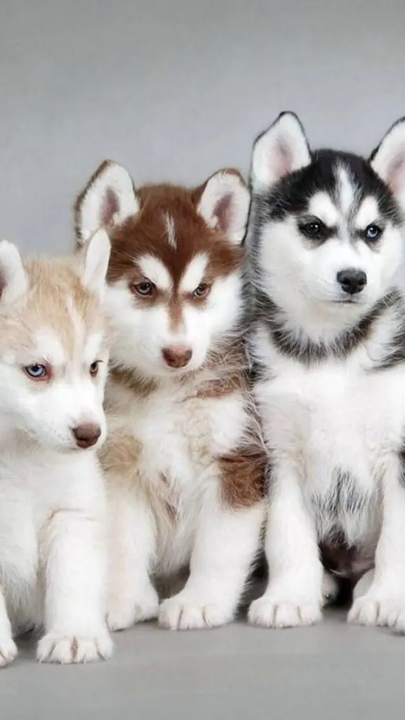 Andachtsbild von Unbekannt