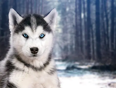 Andachtsbild von Unbekannt