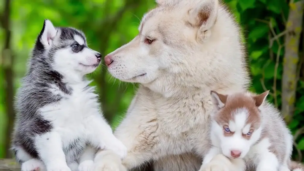 Andachtsbild von Unbekannt