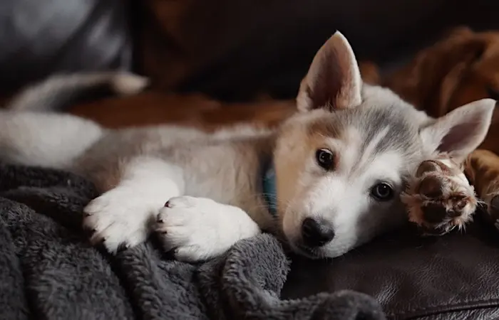 Andachtsbild von Unbekannt