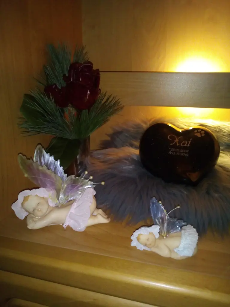 Condolence image of Karin