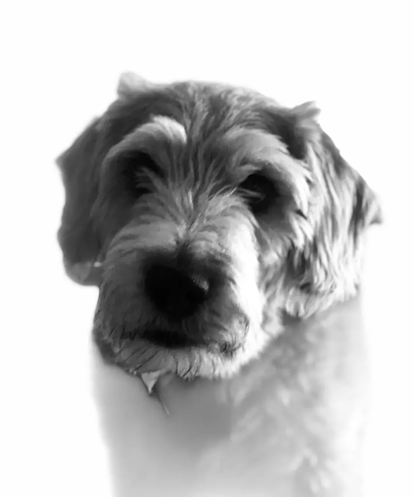 Condolence image of Rita