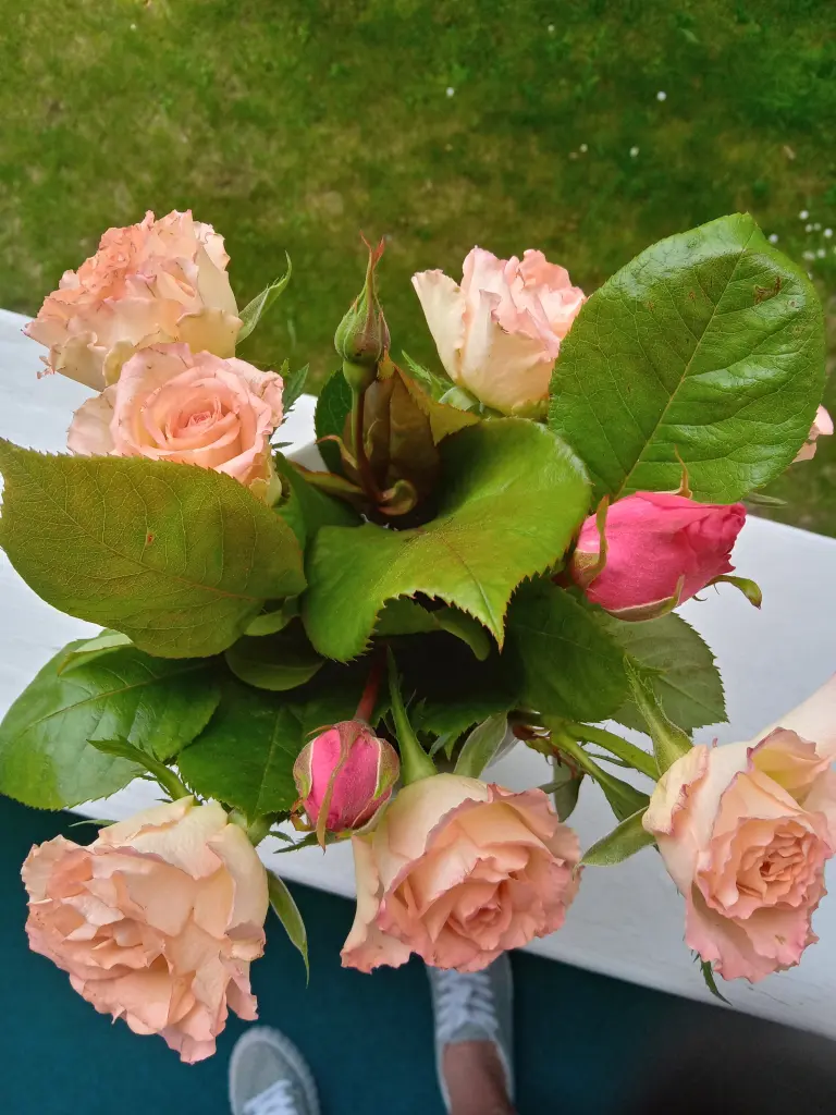 Condolence image of Karin