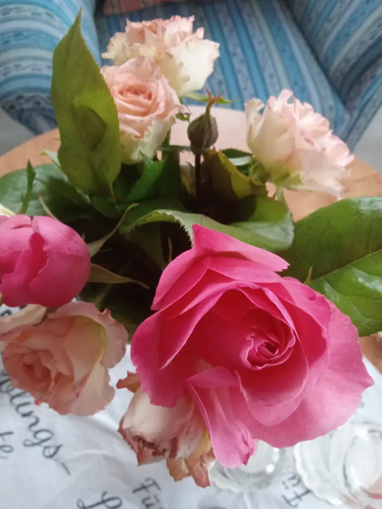 Condolence image of Karin