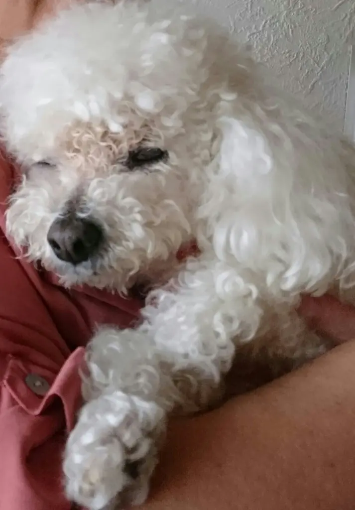 Condolence image of Angela