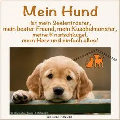 Condolence image of Unbekannt