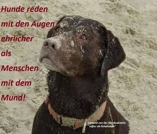 Condolence image of Unbekannt