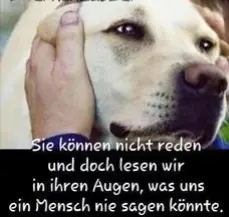 Condolence image of Unbekannt