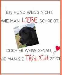 Condolence image of Unbekannt