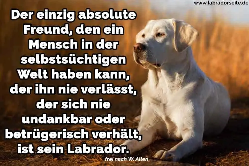Condolence image of Unbekannt