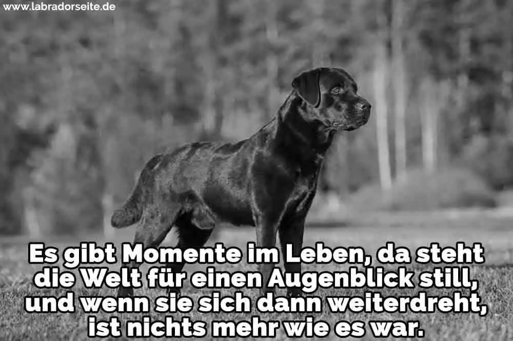 Condolence image of Unbekannt