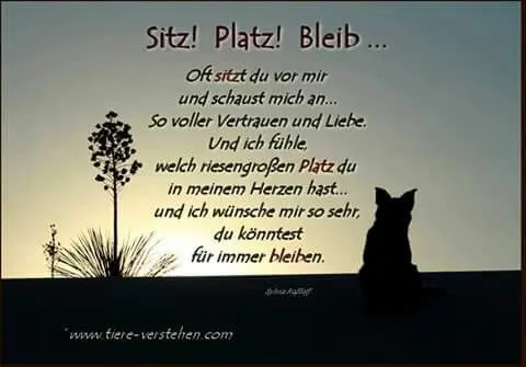 Condolence image of Unbekannt