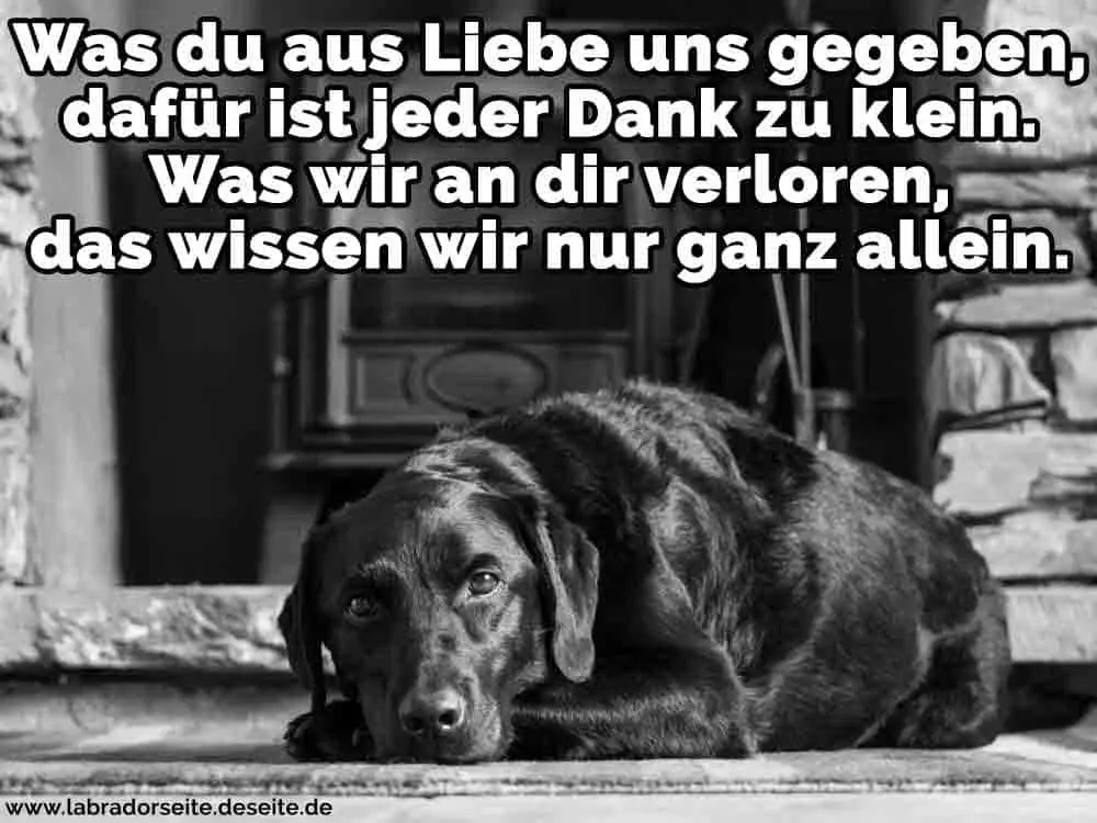 Condolence image of Unbekannt