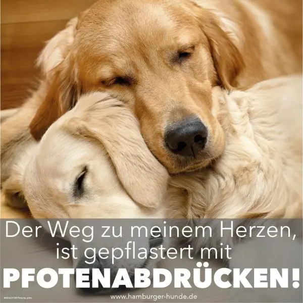 Condolence image of Unbekannt