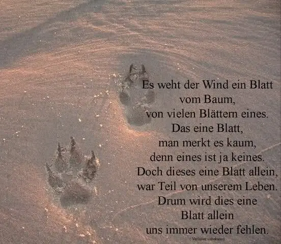 Condolence image of Unbekannt