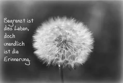 Condolence image of Unbekannt