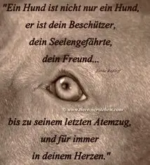 Condolence image of Unbekannt