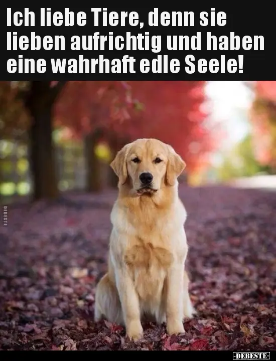 Condolence image of Unbekannt