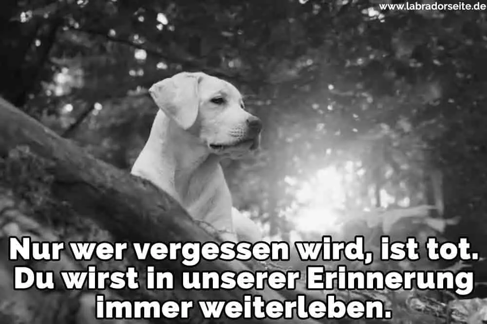 Condolence image of Unbekannt