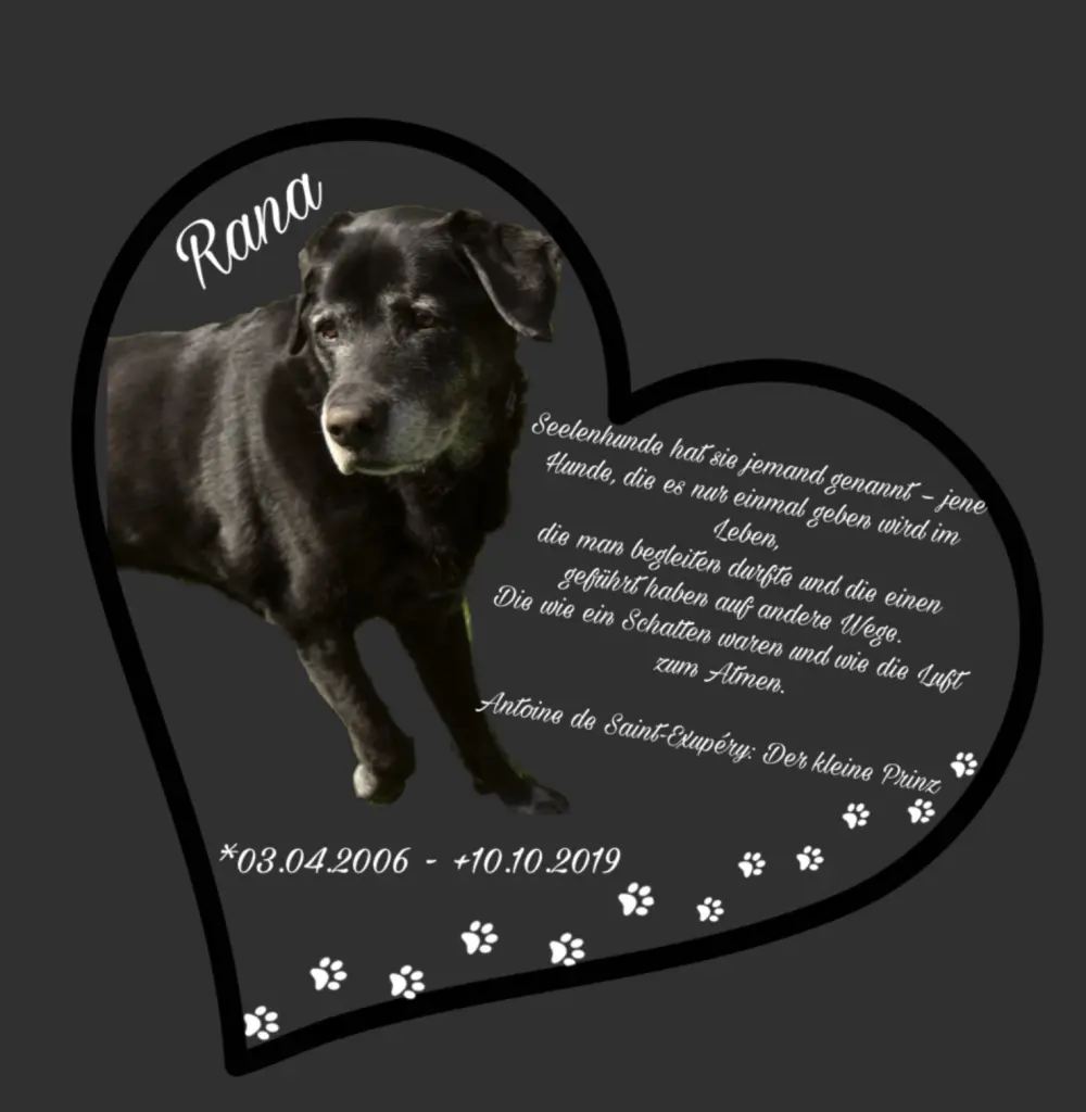 Condolence image of Doris mit Rana im Herzen
