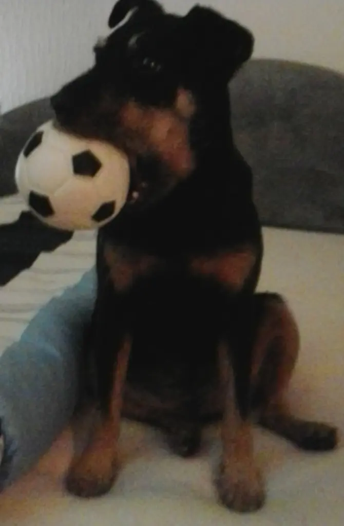 Condolence image of Angelika